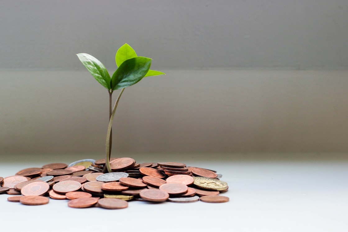 Indexed universal life insurance guide